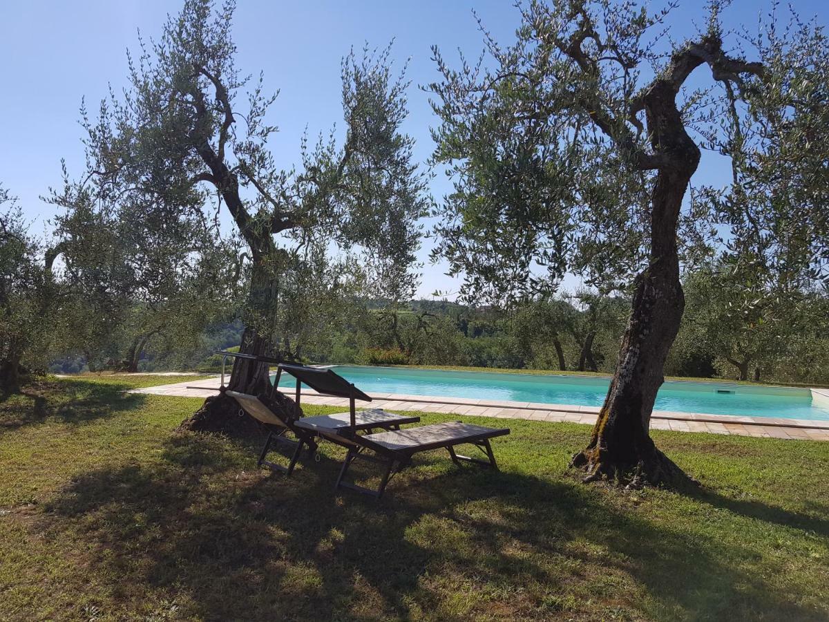 Agriturismo Le Querce Palaia Exterior foto