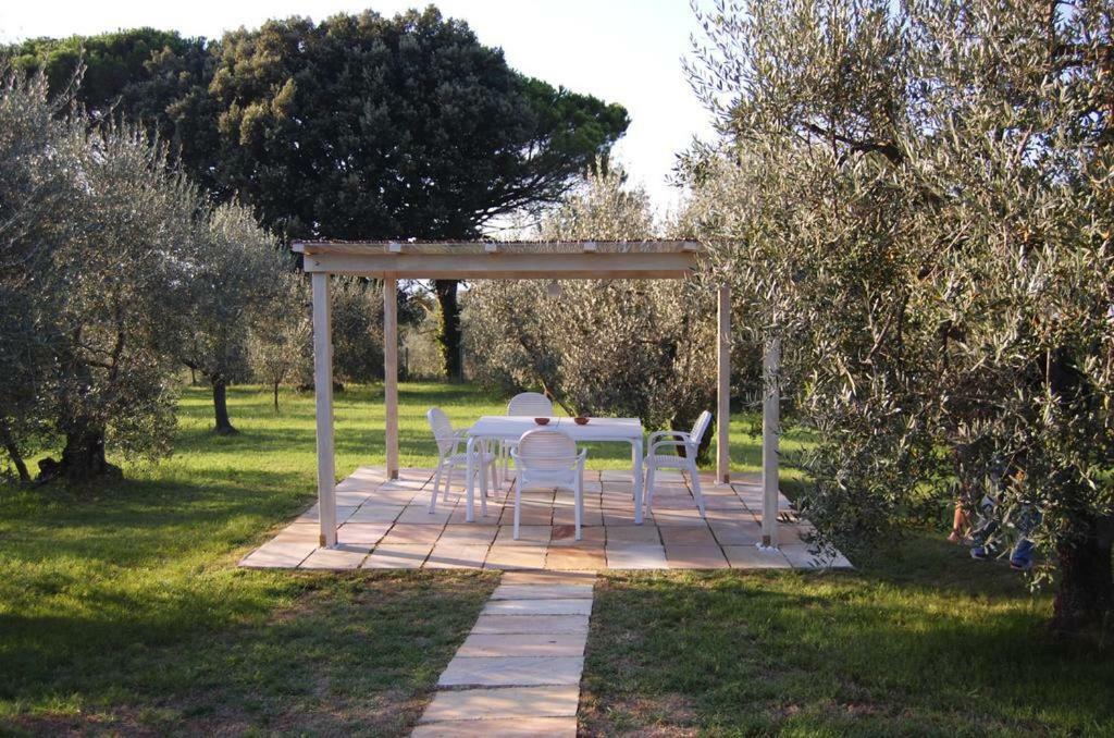 Agriturismo Le Querce Palaia Exterior foto